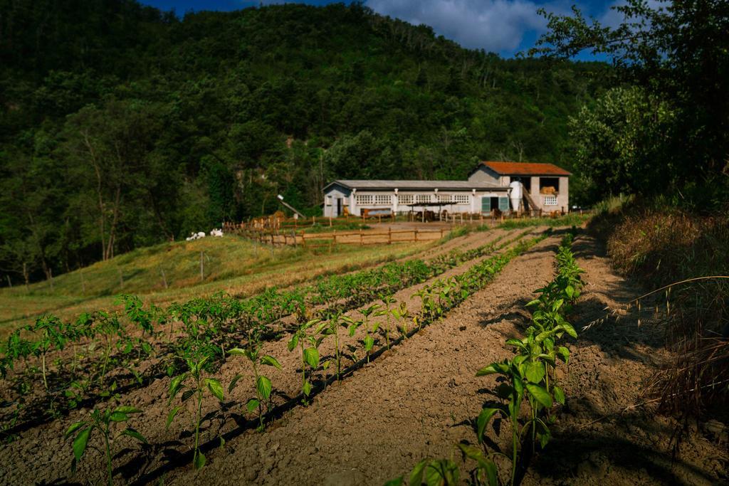 Agriturismo Cascina Del Vai Cairo Montenotte Eksteriør billede